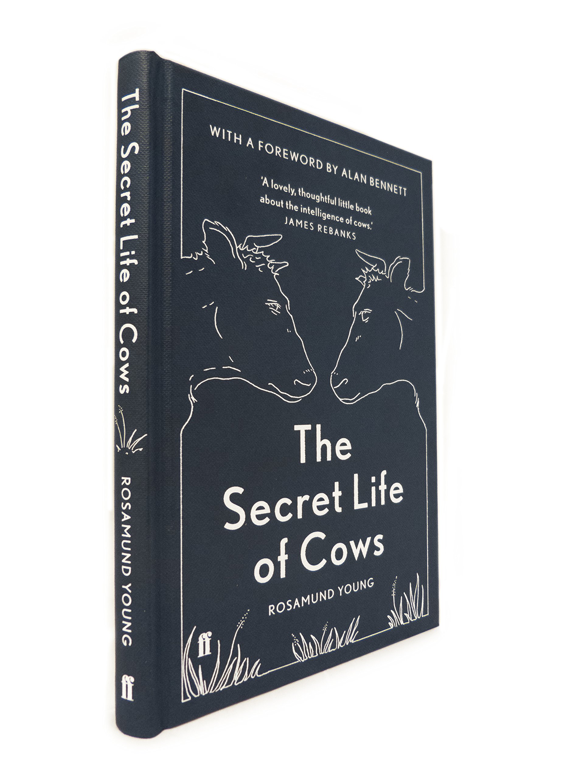 The Secret Life of Cows | Papercut