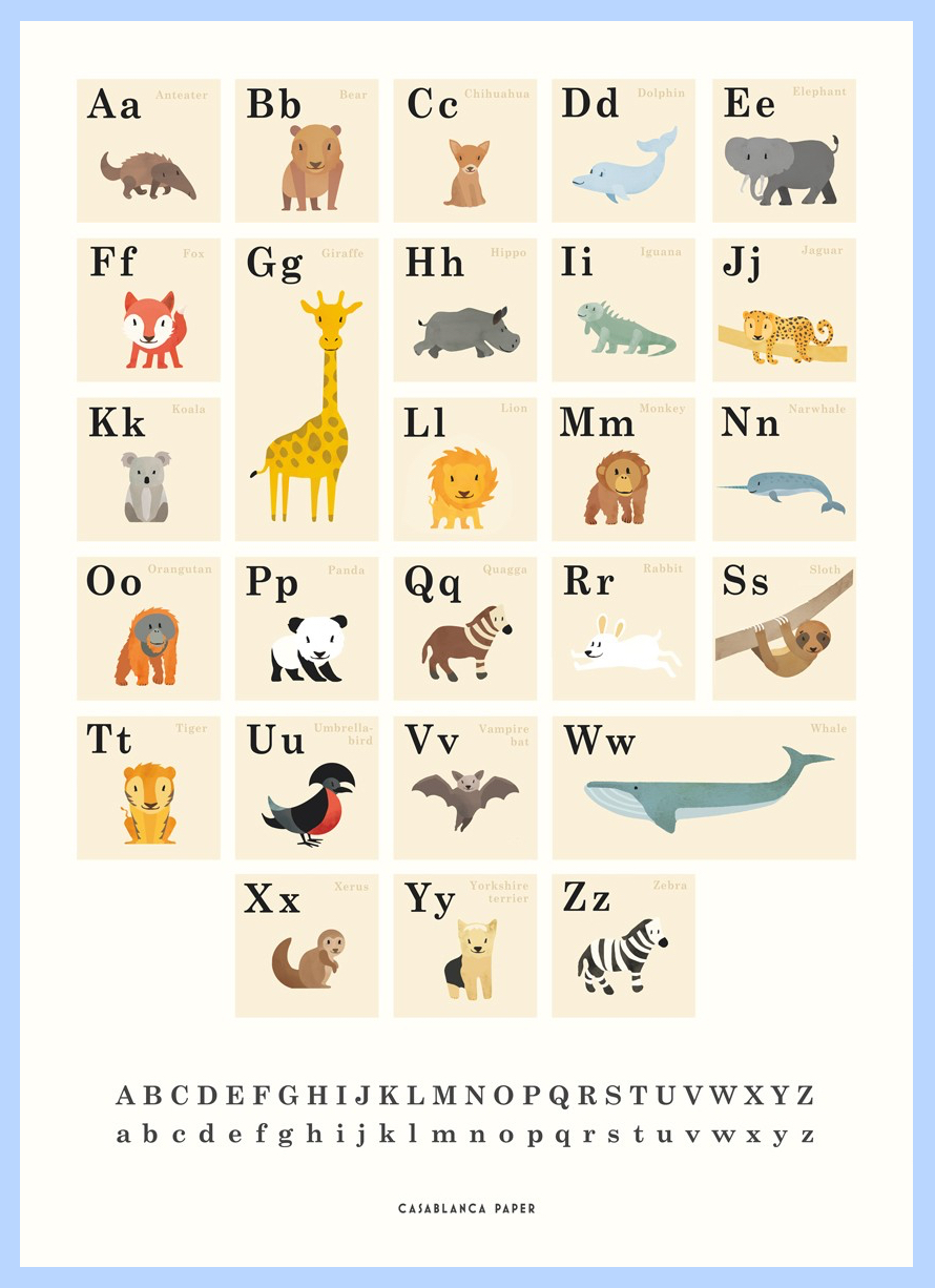 Casablanca Paper - Animals ABC (30x40 Poster) | Papercut