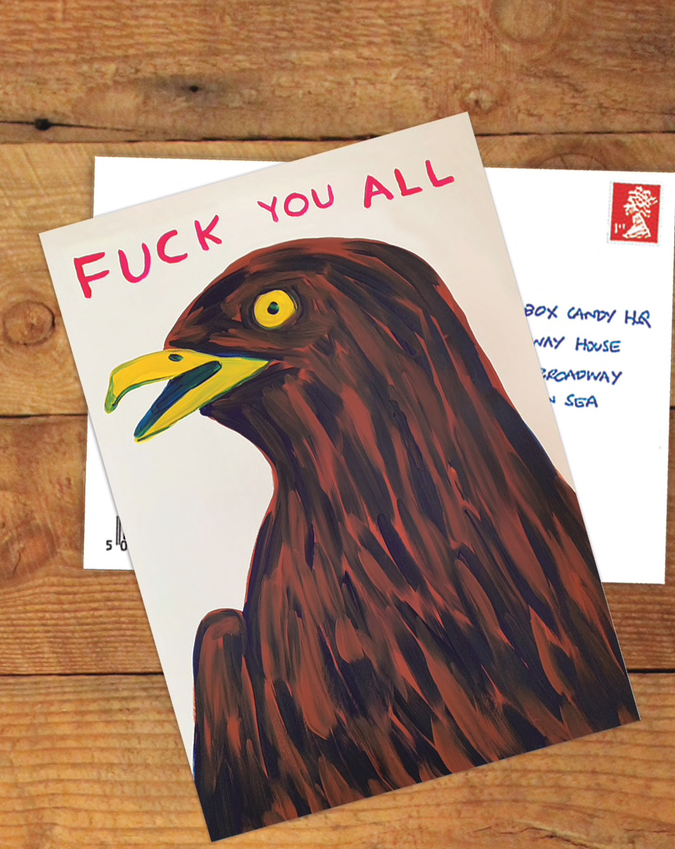 Funny Rude Humorous David Shrigley Up Yours Novelty Postcard