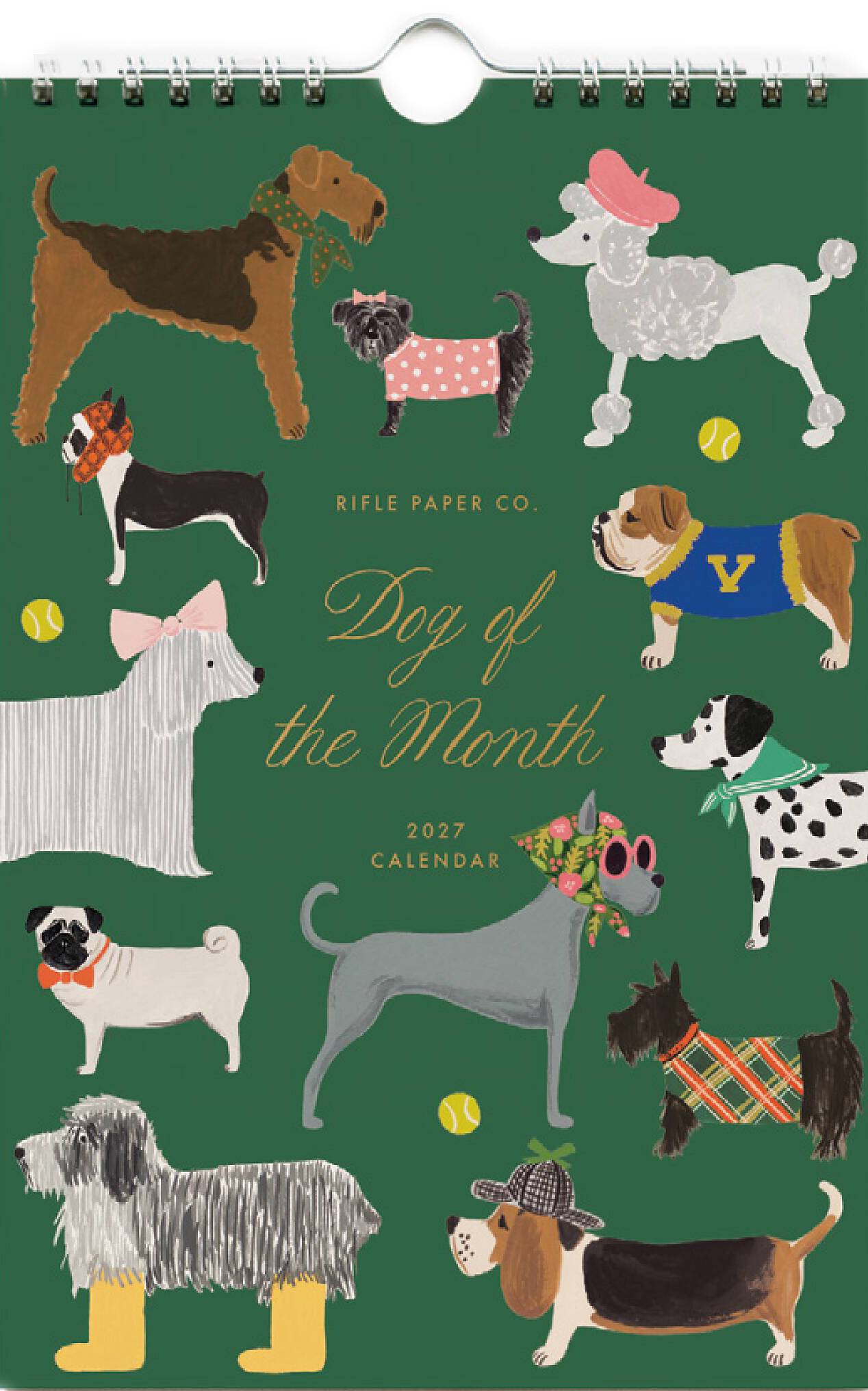 2027 Dog of the Month Kitchen Calendar